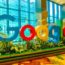 Google Startup Accelerator South East Asia